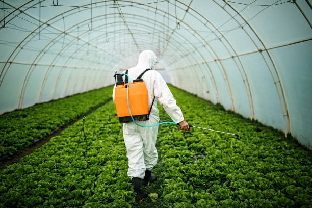 Best Pest Removal Services  in Ceredo, WV