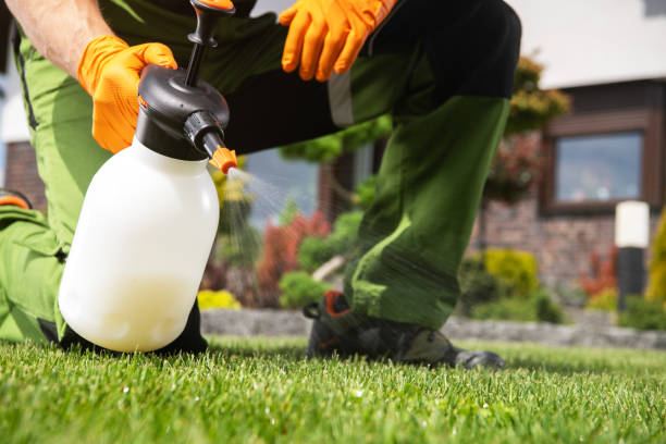 Best Pest Control for Businesses  in Ceredo, WV
