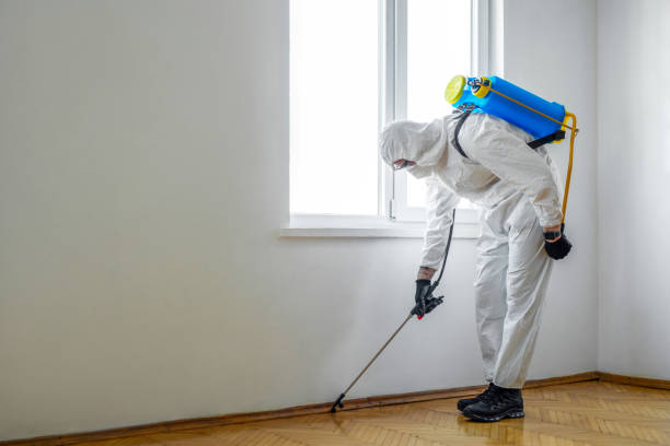 Best Bed Bug Extermination  in Ceredo, WV