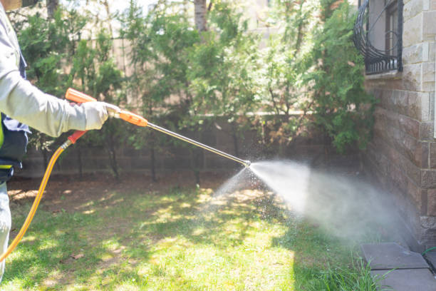 Best Pest Prevention Services  in Ceredo, WV