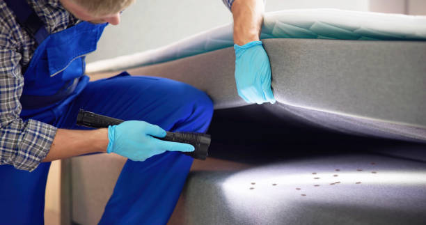 Reliable Ceredo, WV Pest Control Solutions