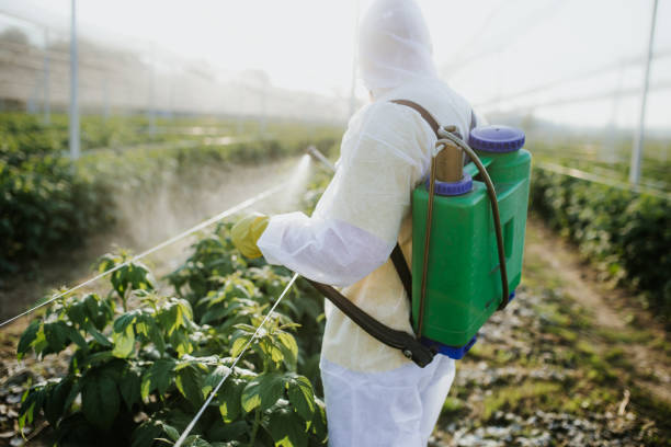 Best Pest Control Near Me in Ceredo, WV